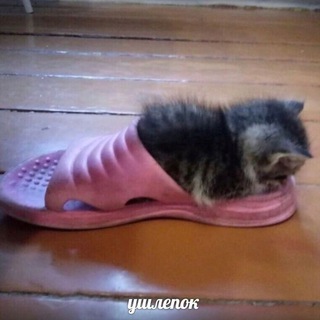Моё тело не храм,а лунопарк