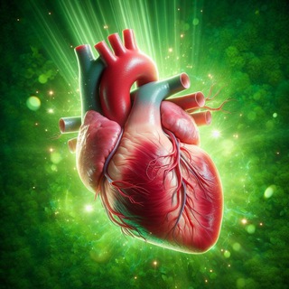 Интим и Ислам 【♥️】