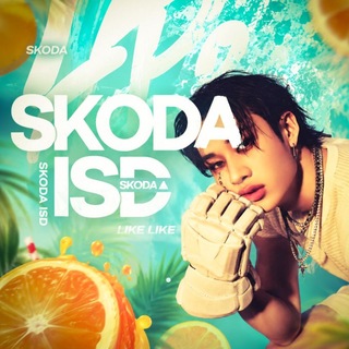Skoda / isd skz☀️