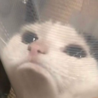 it's justsadguy