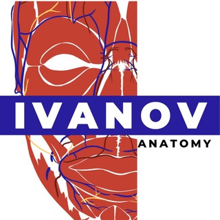 IvanovAnatomy💀Кадавер-курсы