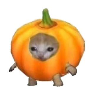 ДЖЕТНАЙЗ / JETNIZE👽