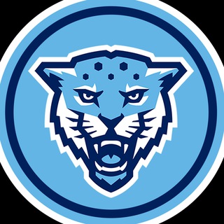 KRONBASKET
