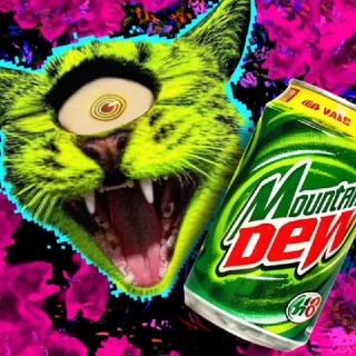 Радио тут🌊