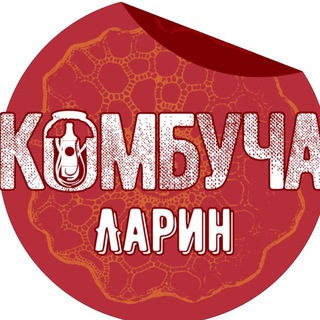 КОМБУЧА | ЛАРИН