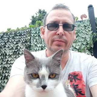 KoreaMeow