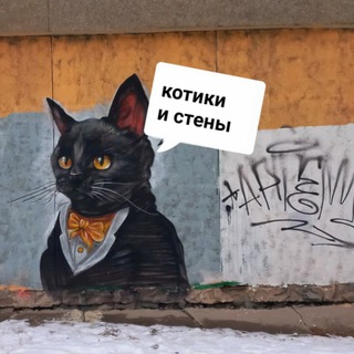котики и стены