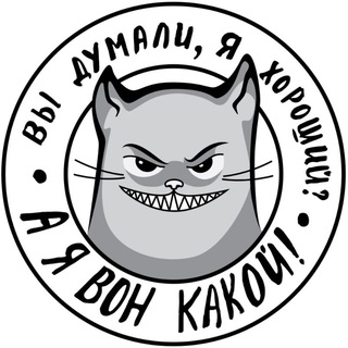 котики