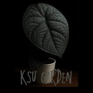 Ksu Garden
