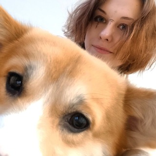 Kuzia🦔