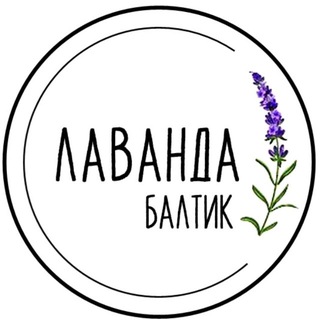 Лаванда Балтик
