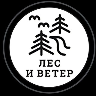 Лес и ветер. Путешествия по далёкой России и Сербии🌲💨