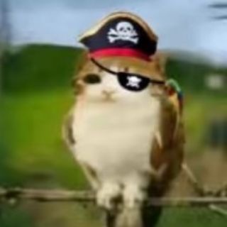 Участок лёвкис🪻