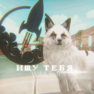 ищу тебя | WildCraft
