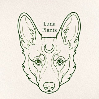 LUNA🌙PLANTS
