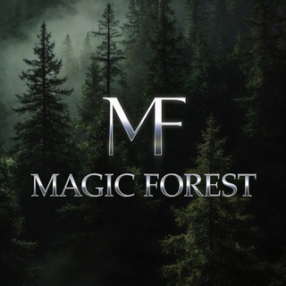 Magic Forest - пространство для вашего отдыха в Красноярске.