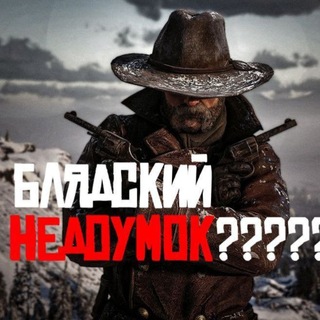 Шиншила кф