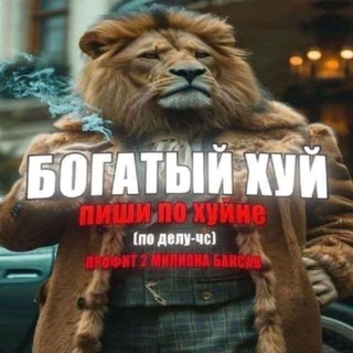 манго rich arc