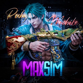 MaxSIM PUBG