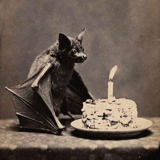Mémoires de vampires🦇
