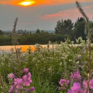 Мещерские сказы