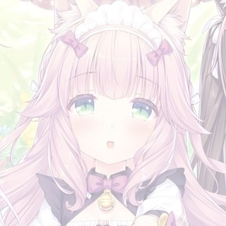 ~ かわいい子猫🎀