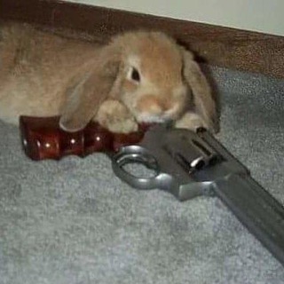 🐇Кроличья обитель✨