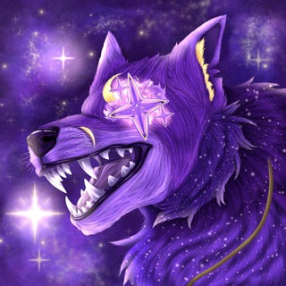 🐺𝙈𝙞𝙧 𝙉𝙞𝙜𝙝𝙩 ⏤͟͟͞͞ 〄