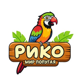 Мир Рико | Красноярск