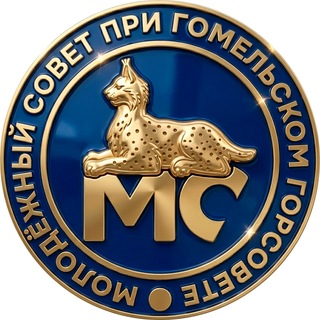 Молодёжный совет Гомеля