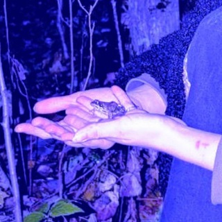 Blue forest for imaginary animals