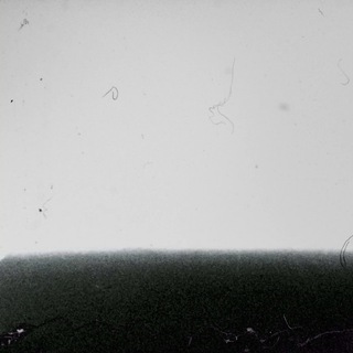 MOVING IMAGE