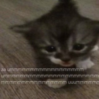 𝙢𝙪𝙨𝙖𝙩𝙖𝙜𝙞 ◗