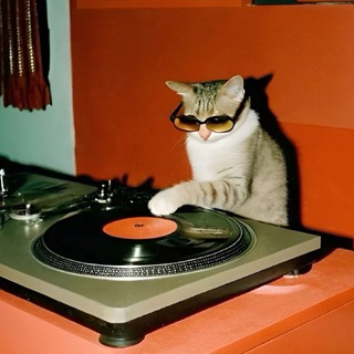 anya musichead