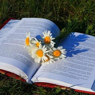 Читаем с Хонни🌷