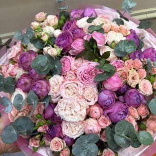 𝓜𝔂. 𝓢𝓸𝓾𝓵🤍