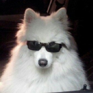 Нил на перерыве