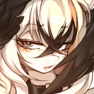 °✧ 𝐍𝐎𝐕𝐀 ✧°