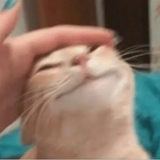 ноу вей(сяо)