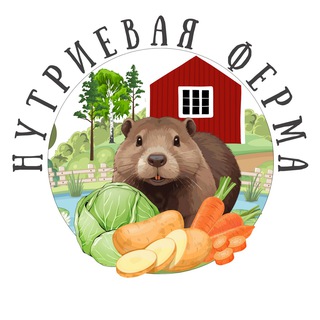 «Нутриевая ферма» место, где отдыхает вся семья.
