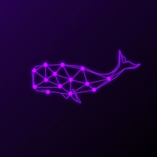 On-Chain Кит