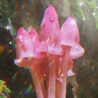 🍄Опёныч🍄
