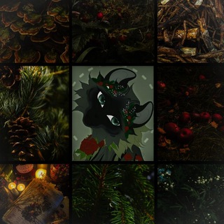 🌲𝑺𝒕𝒖𝒅𝒊𝒐 𝑪𝒐𝒏𝒆𝒔🌲
