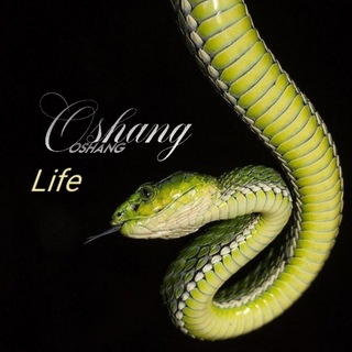 𓈒 ◝. 𝓞𝒔𝒉a𝒏𝒈 𝓵𝓲𝒇e