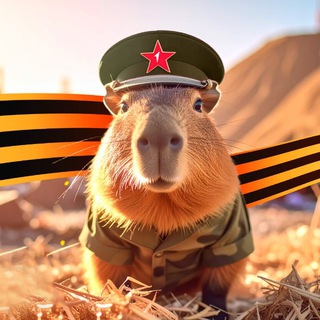 Капибаринг в Движении ️