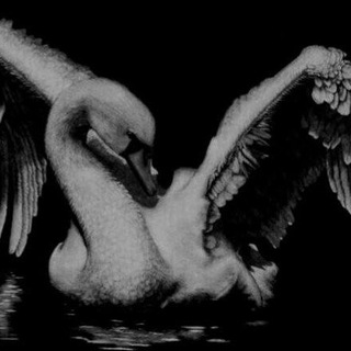 [ РЕСТ] Կᥲ᥊нущᥙᥔ ɸ᧘᧐κᥴ.