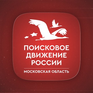 Поисковое движение России в Московской области
