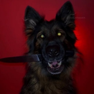 psychopathy
