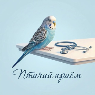 Птичий приём🦜Фролова А.А.