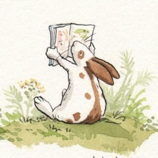 Заяц прочитал🐰
